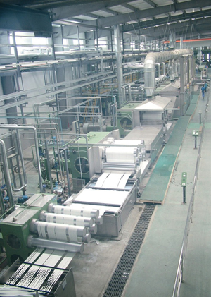 polyester staple fibre production line 